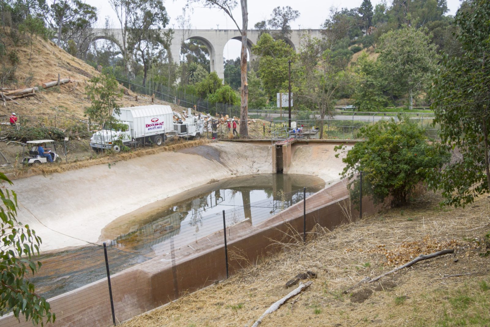 10014 San Diego Zoo Equalization Tank, crew removing trees from hillside around old drainage tank that will be replaced. Laurel Street bridge in background